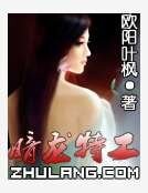 暗龙特工