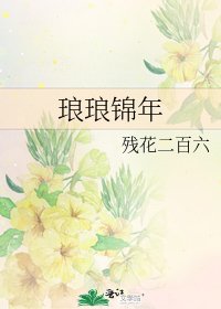 琅琅锦年