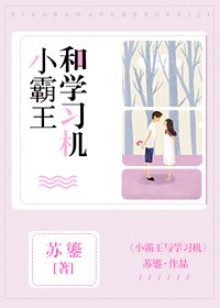 小霸王和学习机