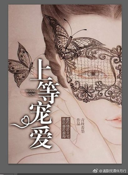 上等宠爱