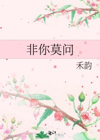 非你莫问
