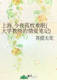 上海,今夜孤枕难眠(大学教师的情爱笔记)