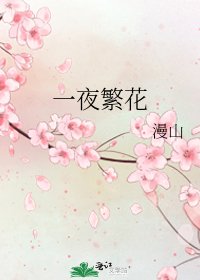 一夜繁花