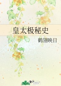 皇太极秘史