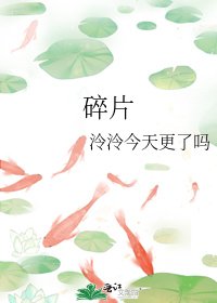 碎片