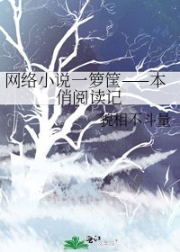 网络一箩筐——本俏记